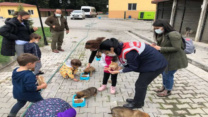 4 Ekim Dünya Hayvanları Koruma Günü