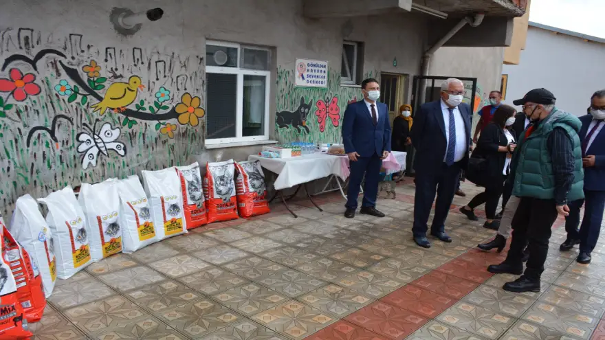 “Uzaktan uzağa hayvan sevilmez, barınağa ve derneğe gelin”