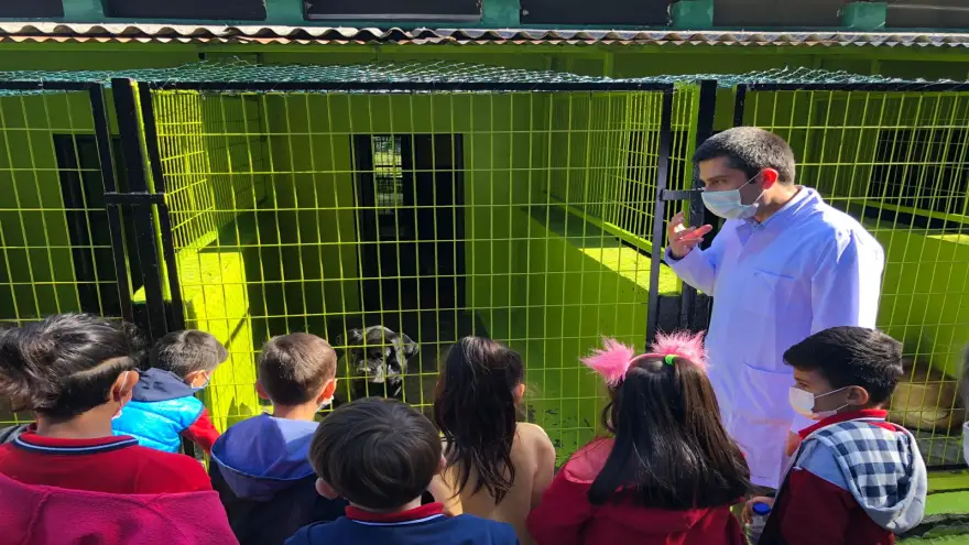 Barınak hayvanlarının kapıları minik kalplere açıldı