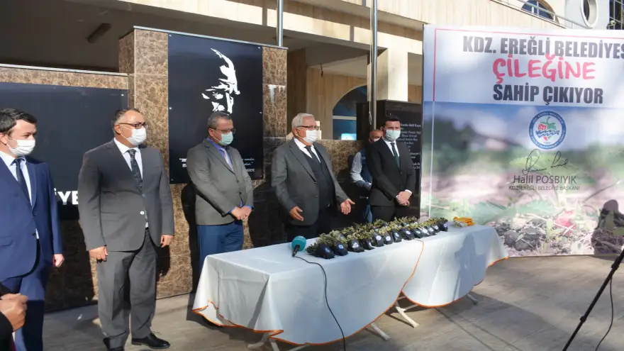 Kdz. Ereğli Belediyesi, Osmanlı Çileği fidesi dağıtacak