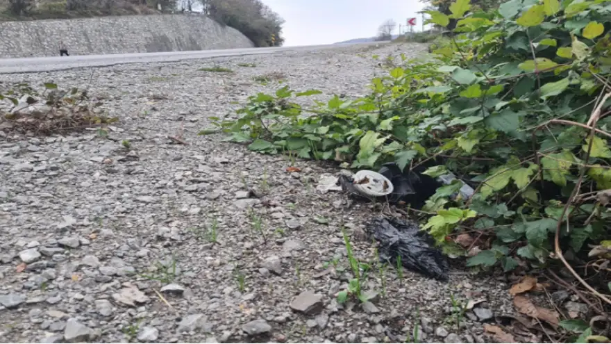 Yayaya çarpıp kaçan araç sürücüsü yakalandı