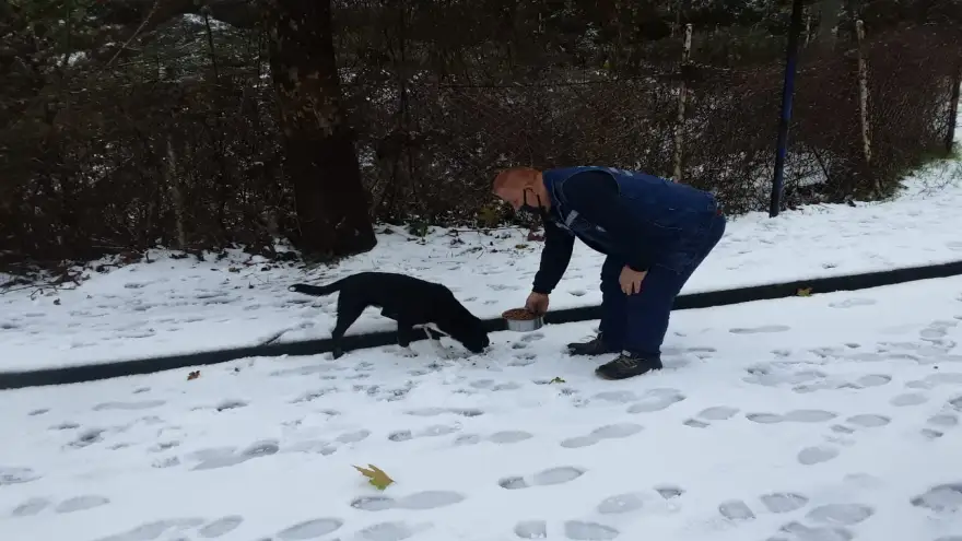 Kdz. Ereğli Belediyesi, sevimli dostları unutmadı