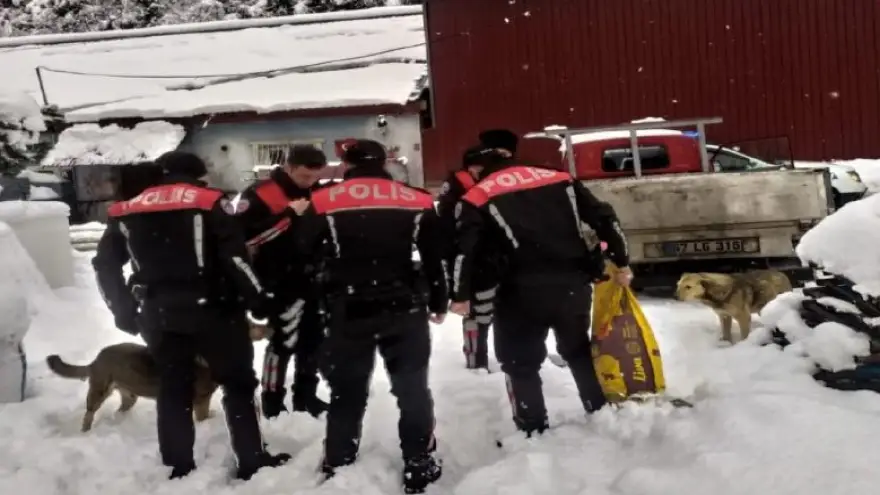 Zonguldak Polisi aç kalan köpekleri besledi