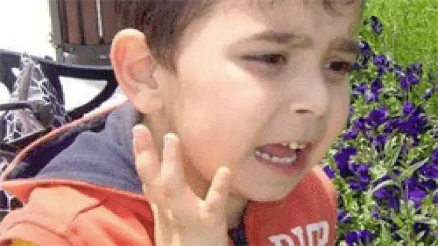 DAHA 4 YAŞINDAYDI