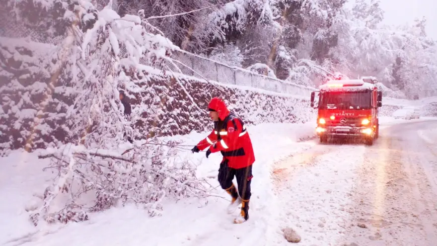 Kdz. Ereğli’de ağaçlar devrildi, dallar kırıldı