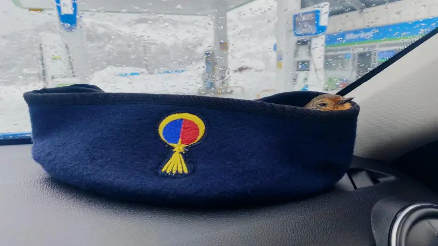 Jandarma devriye sırasında fark edildi