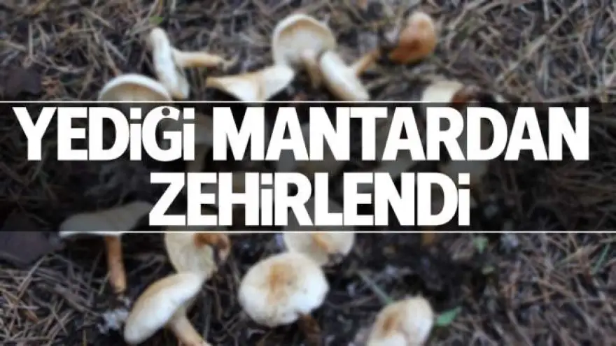 Yediği mantardan zehirlendi