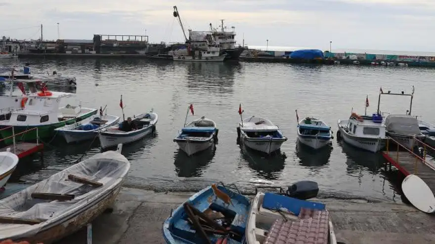 3 ilde afetten zarar gören balıkçılara destek ödemesi