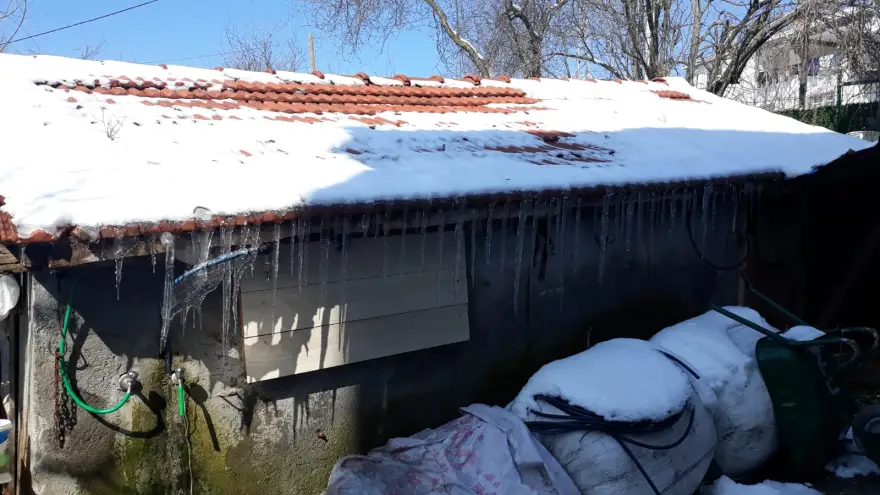 Ahırın çatısında 60 Santimetre sarkıtlar oluştu