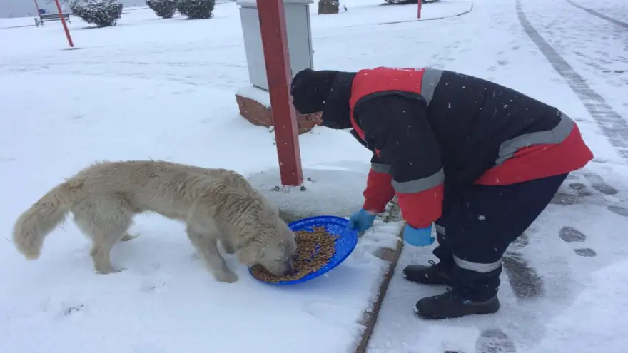 "Kar yağdığında besleme noktalarımızı artırıyoruz"