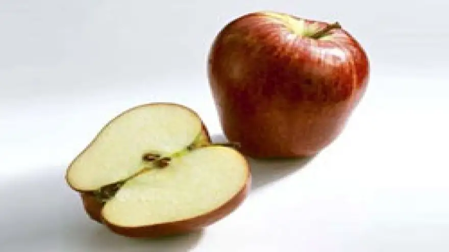 Kansere karşı 10 uzmandan 10 öneri