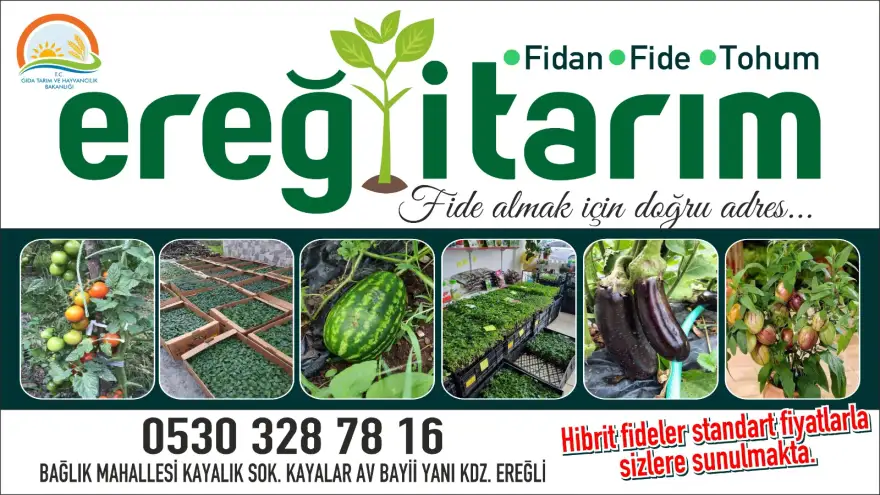 Ereğli Tarım, fide almak için en doğru adres...