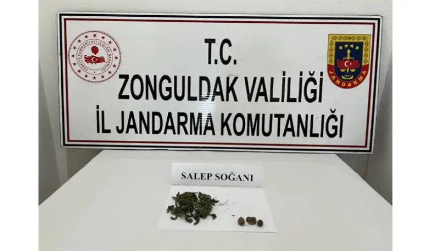 Jandarma, salep soğanıyla yakaladı...