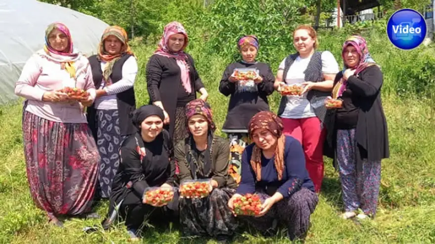 Çiftçiye uzman destekli tarım reçetesi 