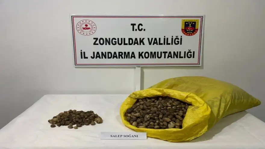 Jandarma 40 Kg Salep soğanı ele geçirdi