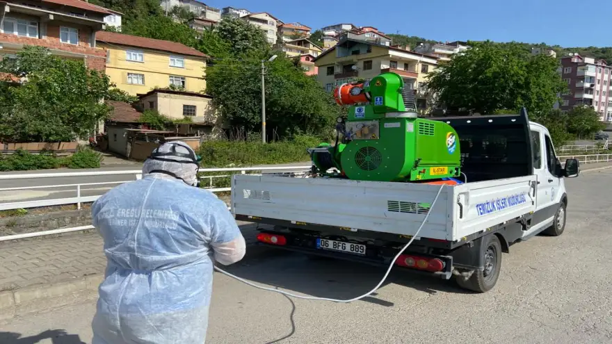 Sivrisineklere karşı ilaçlama çalışmalarına başlandı