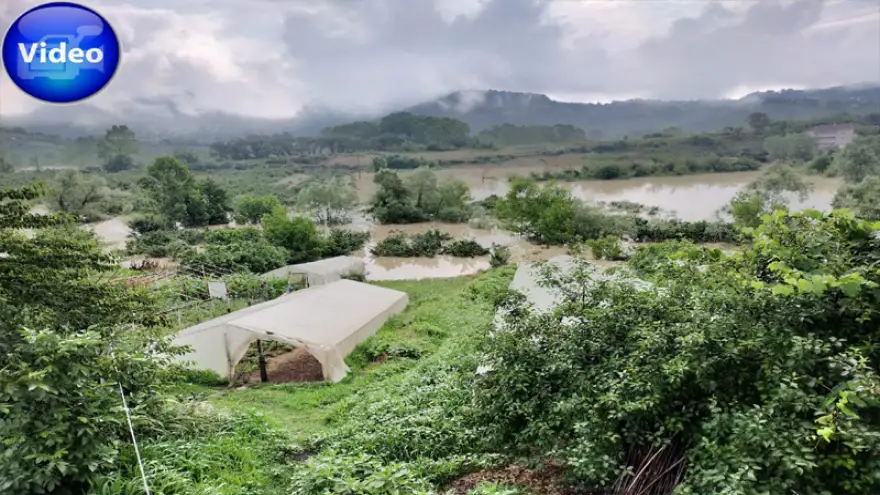 Baraj kapakları açıldı evler ve seralar su altında kaldı