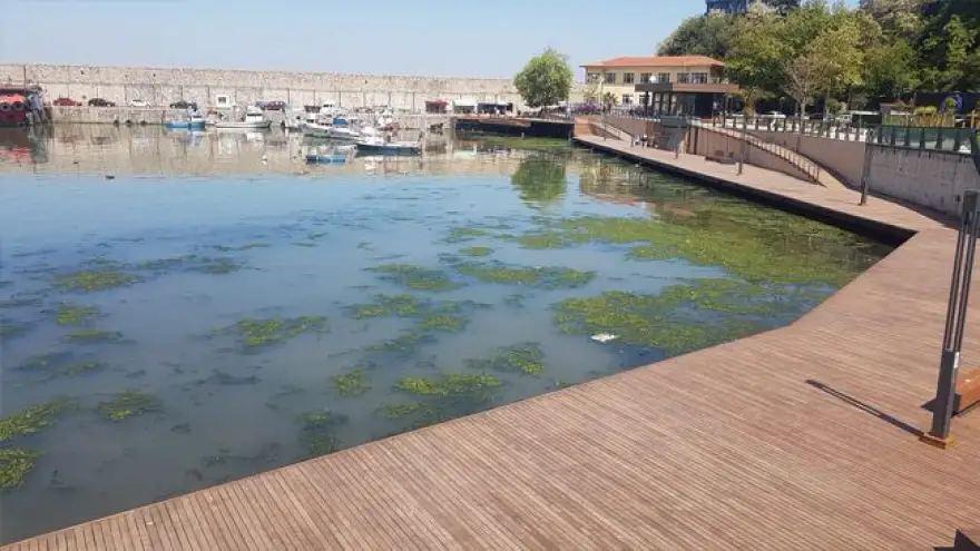 Bakanlıktan beklenen yanıt geldi