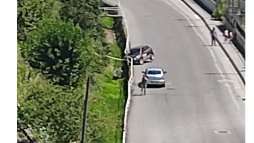 Sürücü kursuna ait eğitim aracı dereye uçmaktan son anda kurtuldu