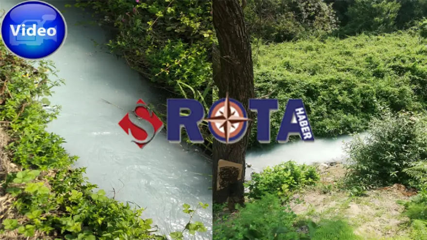 Derenin rengi değişti...