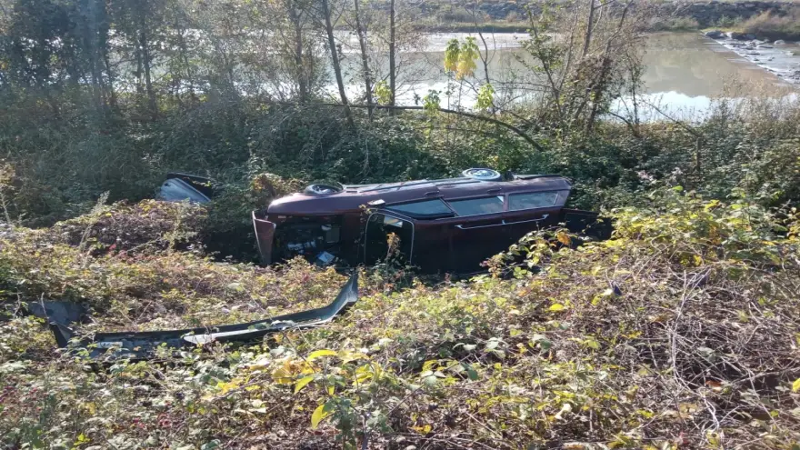 Ormanlık alana uçtu: 4 Yaralı