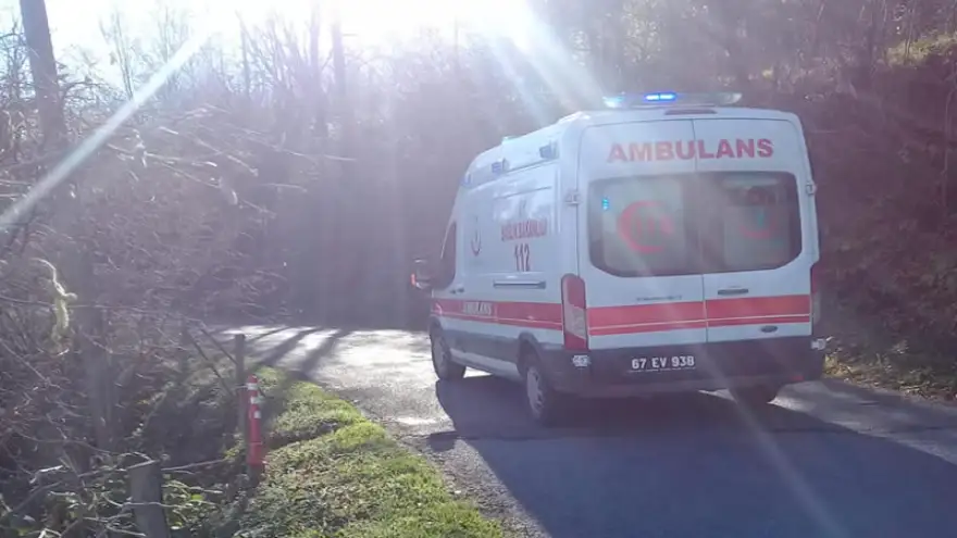 Trafik Kazası: 6 Yaralı