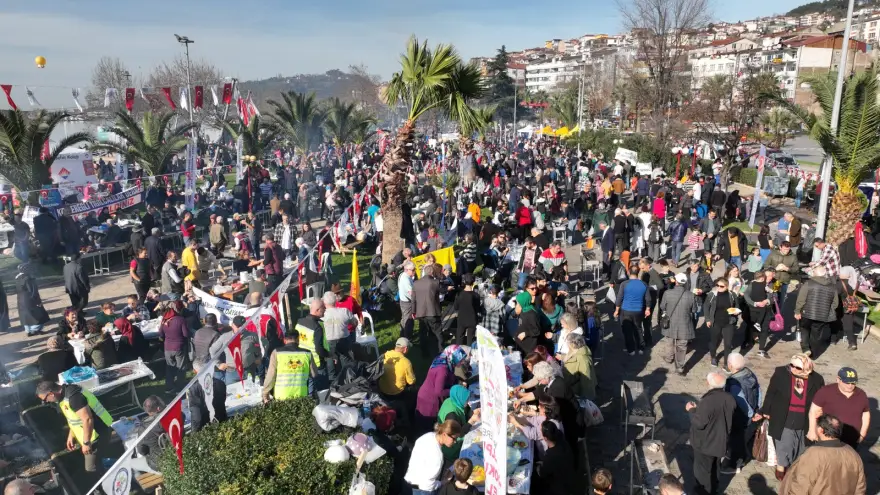 Kdz. Ereğli hamsiye doydu