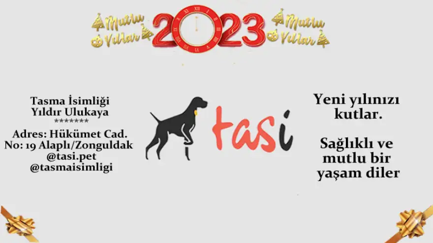 Yeni yılınızı kutlar, sağlıklı ve mutlu bir yaşam diler