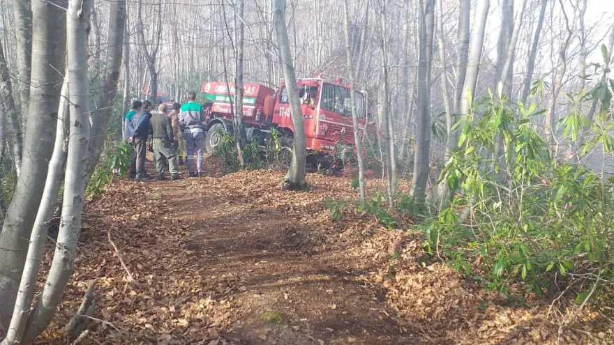 Alaplı'da Orman Yangını Kısa Sürede söndürüldü