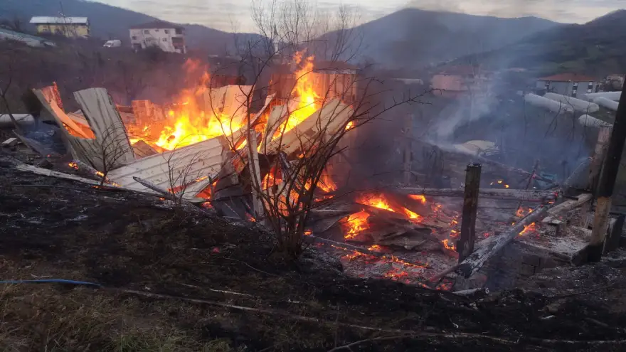 Bağ evi yangında kül oldu...