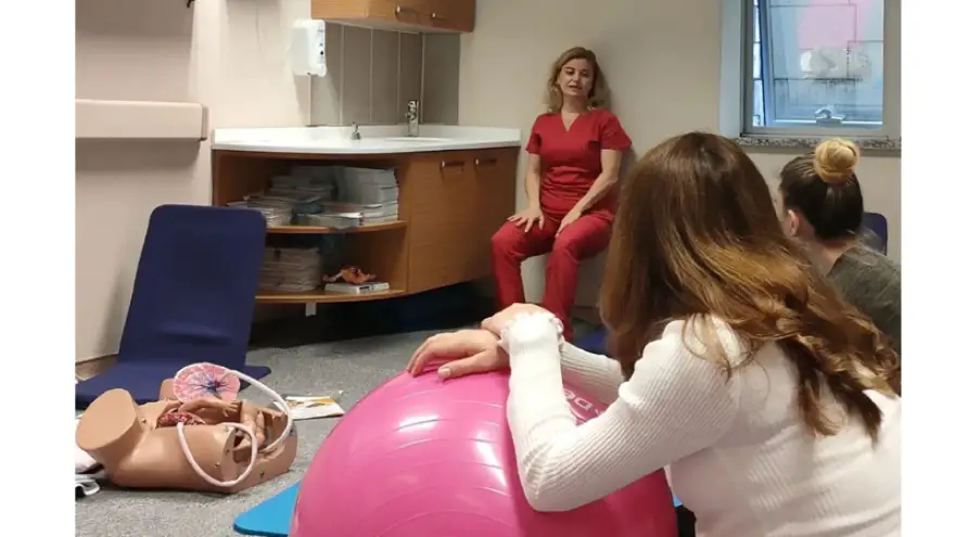 "Sağlıklı Gebe Sağlıklı Bebek"