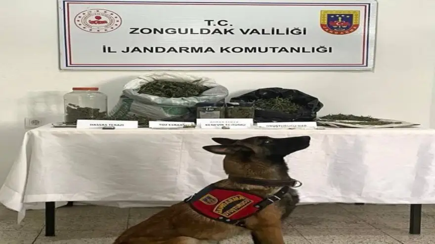 Zehir taciri tutuklandı