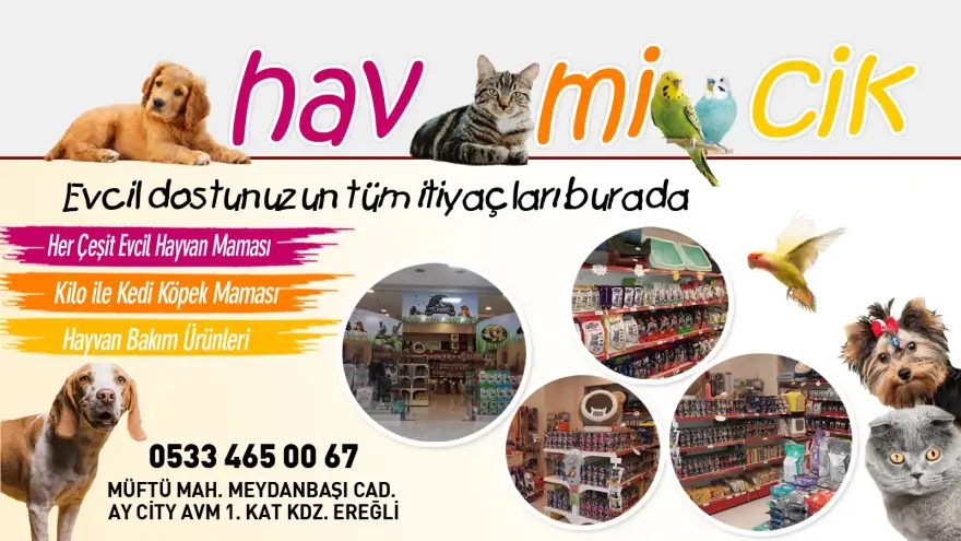 Evcil dostunuzun tüm ihtiyaçları HAV-Mİ-CİK’te…