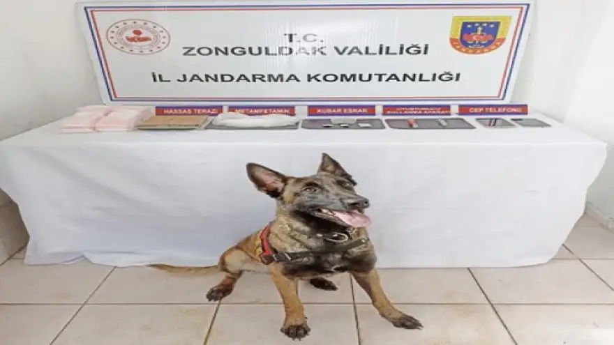 Alaplı ve Çaycuma'da uyuşturucu operasyonu...