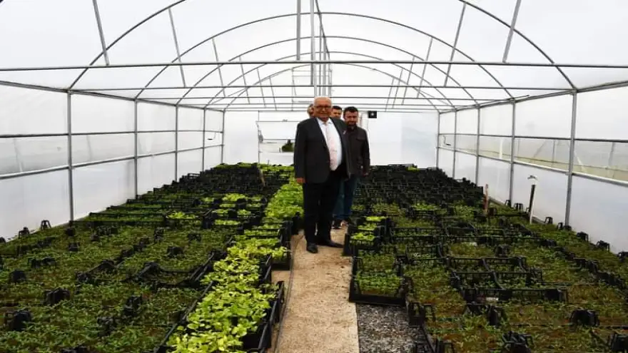 Kdz. Ereğli Belediyesi 300 Bin Ata tohumu fidesi dağıtacak..