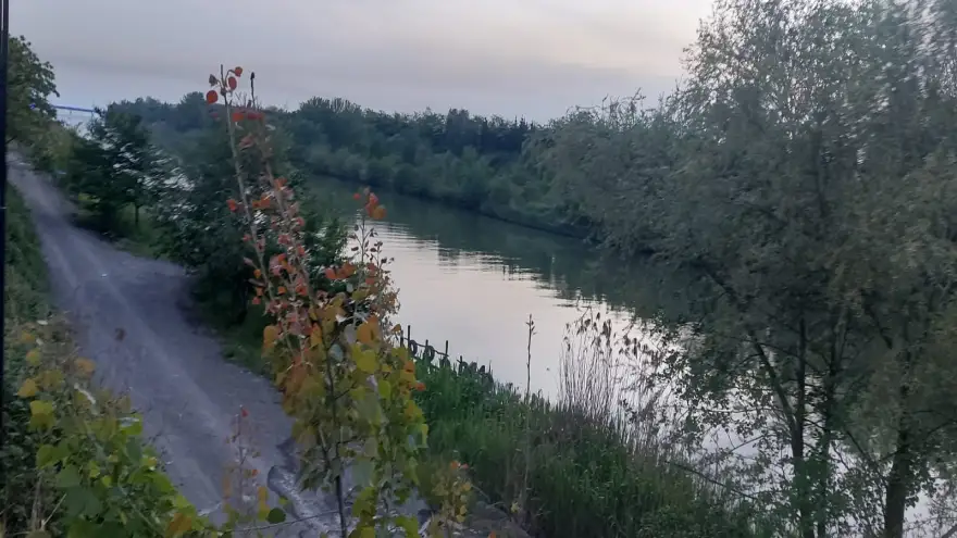 Atlayacağım diye evden çıktı: Bileklerini kesti