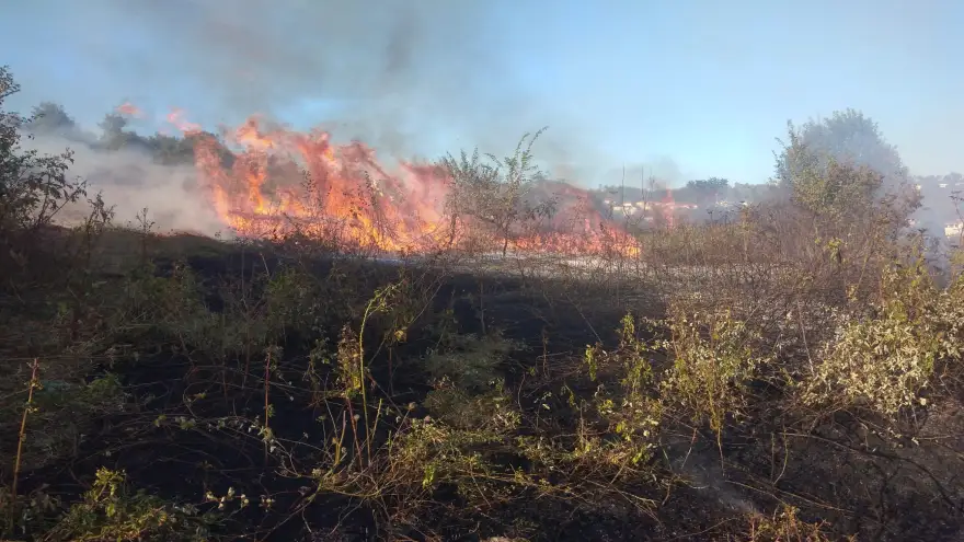 Ereğli'de çıkan Orman yangını vatandaşlara korku dolu anlar yaşattı