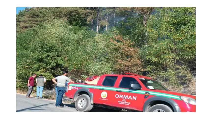 Tolfanlı köyünde orman yangını