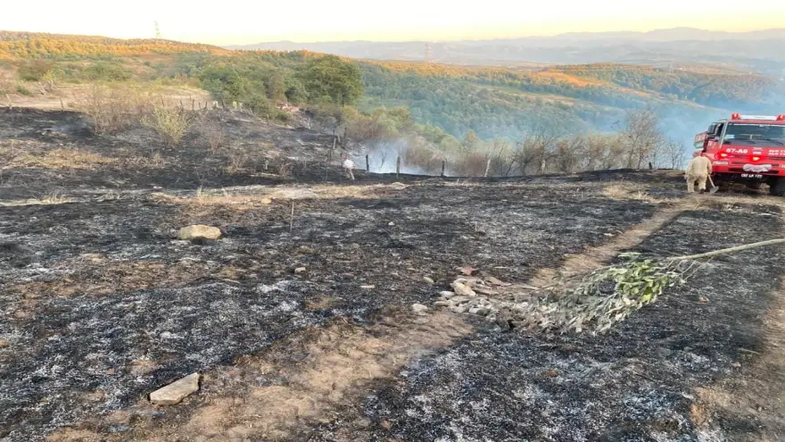 Ereğli'de çıkan orman yangın kısa sürede söndürüldü...