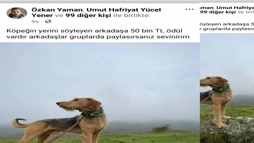 Bulana 50 bin lira ödül var