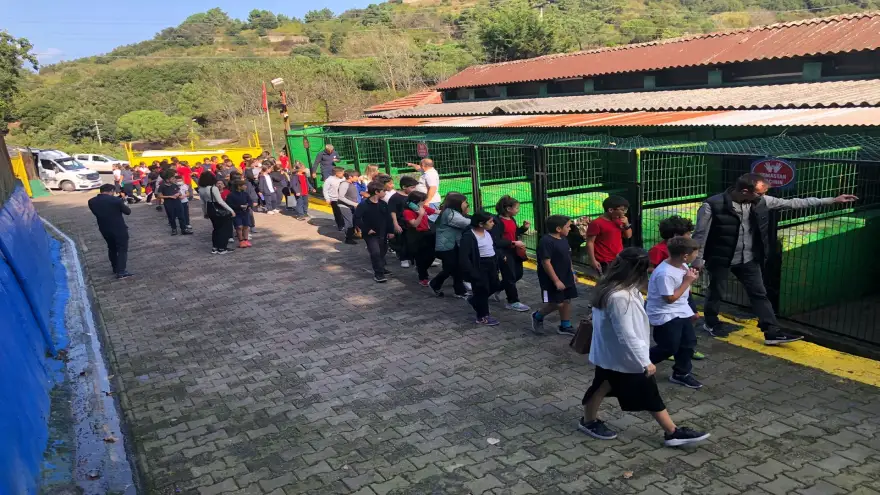 Minik Kalpler, Sevimli Dostları Ziyaret Etti