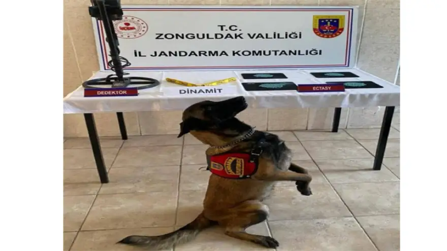 Jandarma denetimlerde patlayıcı madde ele geçirdi...