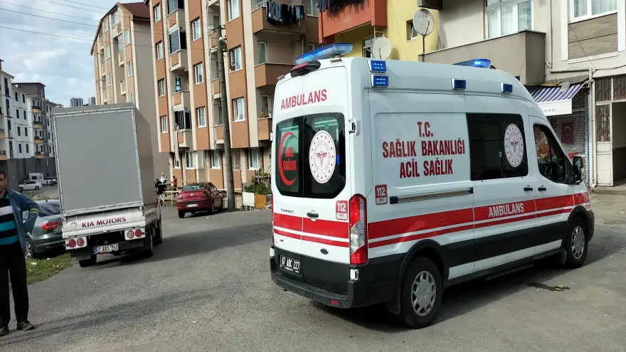 Kamyonet yayaya çarptı