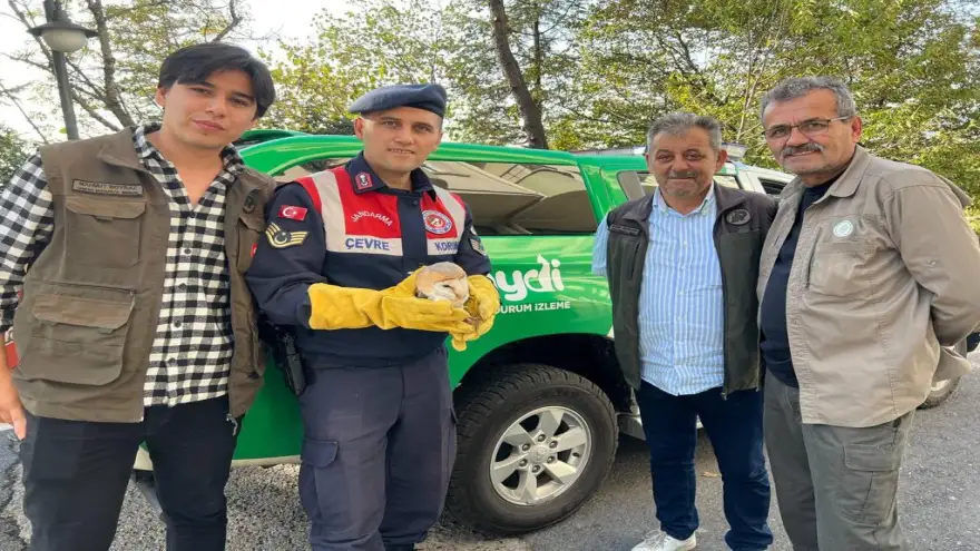 Ereğli'de bulunan yaralı yavru baykuş tedavi altına alındı