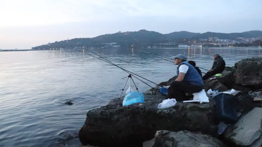 Su samurunun balıkçının oltasından balığı alma anı görüntülendi