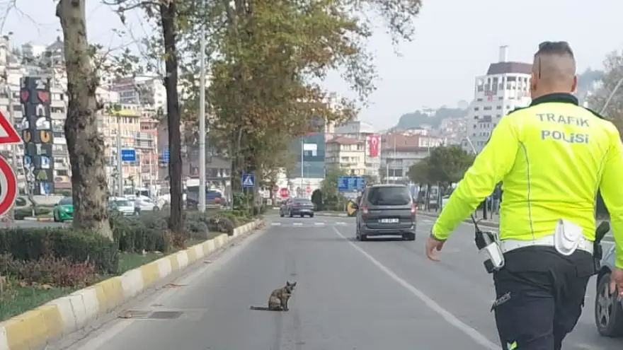 Trafik Polisinin duyarlı davranışı...
