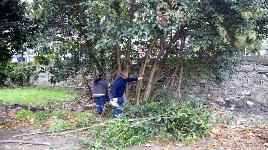 Eski Kaymakamlık Alanında Temizlik Çalışması Yapılıyor