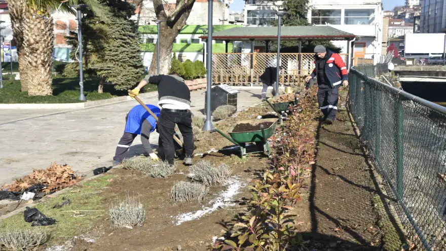 Kdz. Ereğli lavanta kokacak